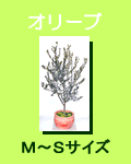 �I���[�u���`���T�C�Y