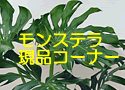 �����X�e�����i�R�[�i�[
